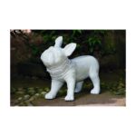 CANE BULLDOG FRANCESE