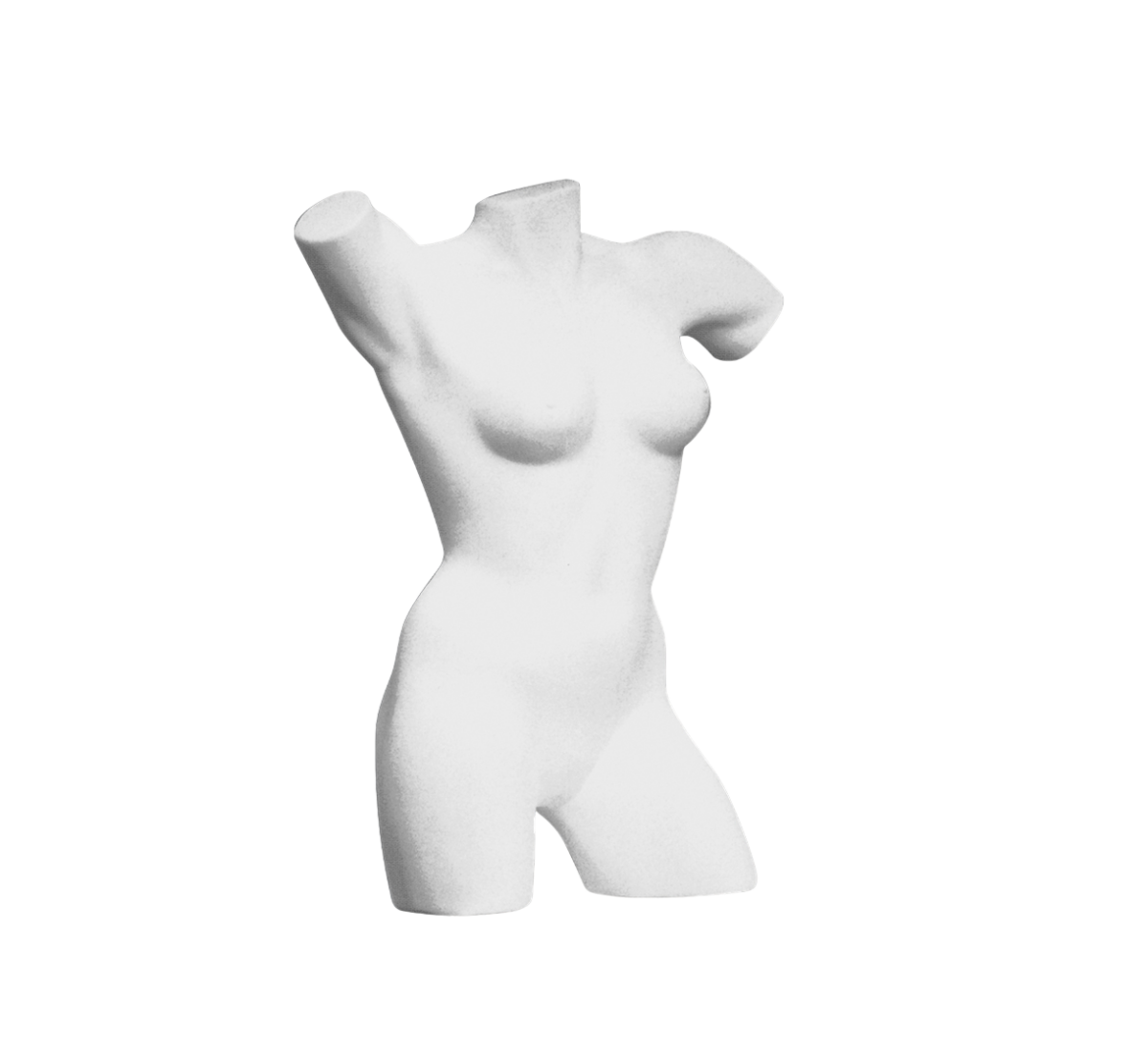 BUSTO DONNA IN POLISTIROLO - immagine 1