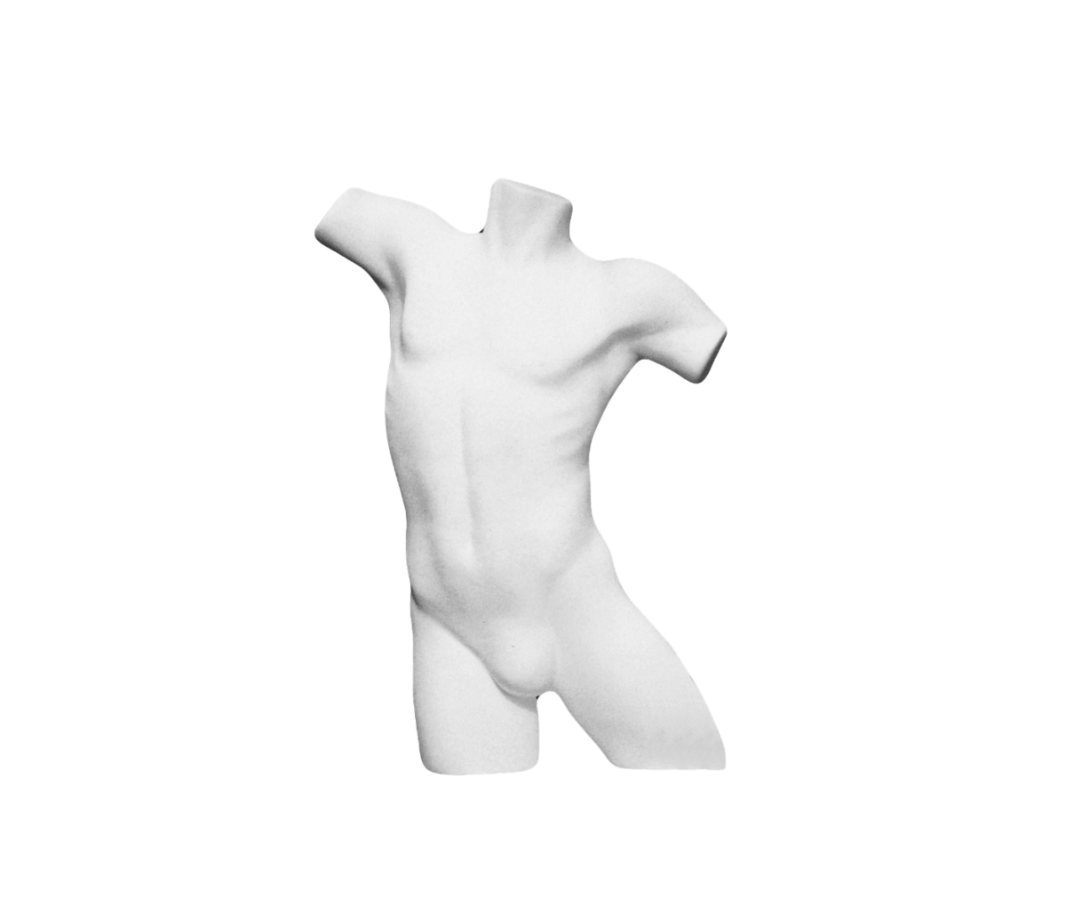 BUSTO UOMO IN POLISTIROLO - immagine 1