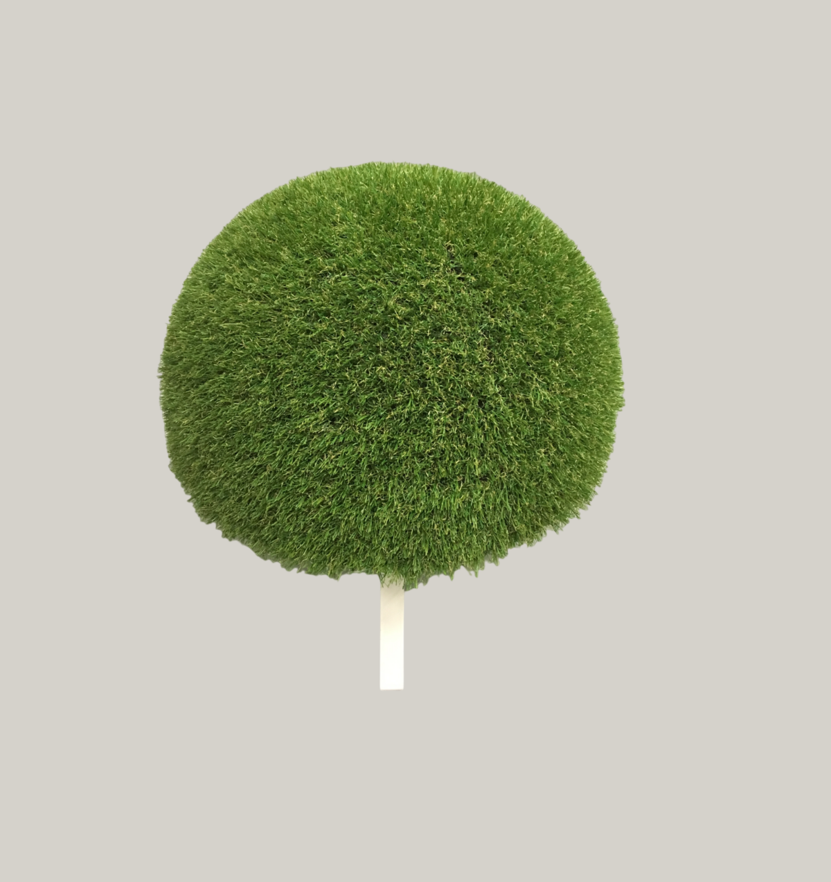 POUFF CON ERBA - immagine 1